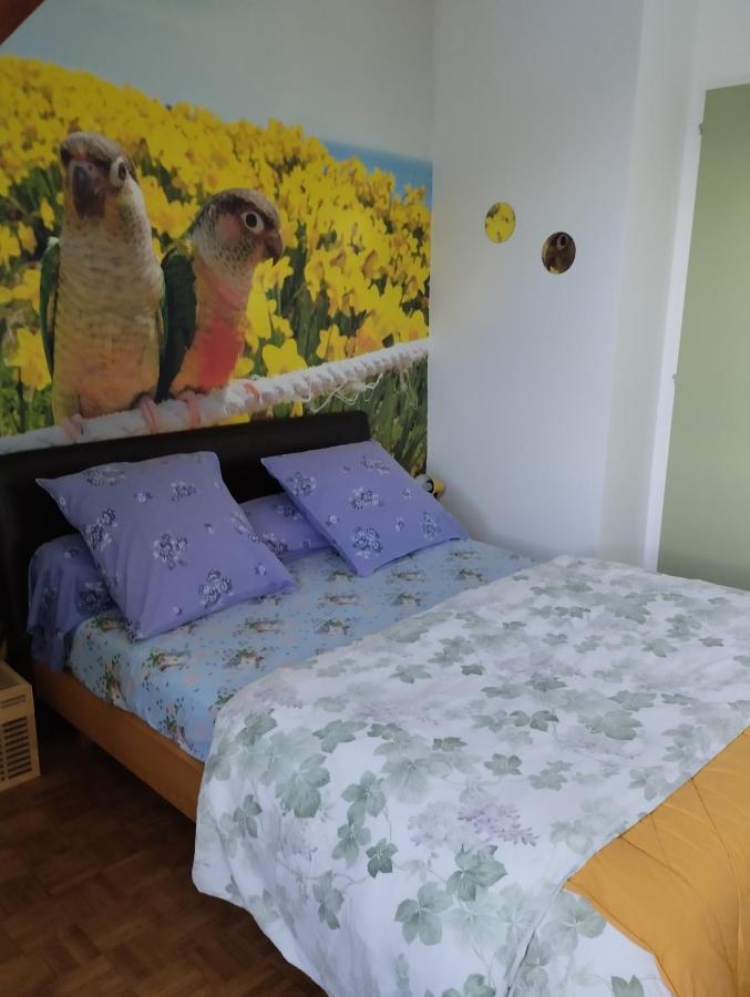 Chambres D'Hotes Du Clos Du Roi 뽕또흑송 외부 사진