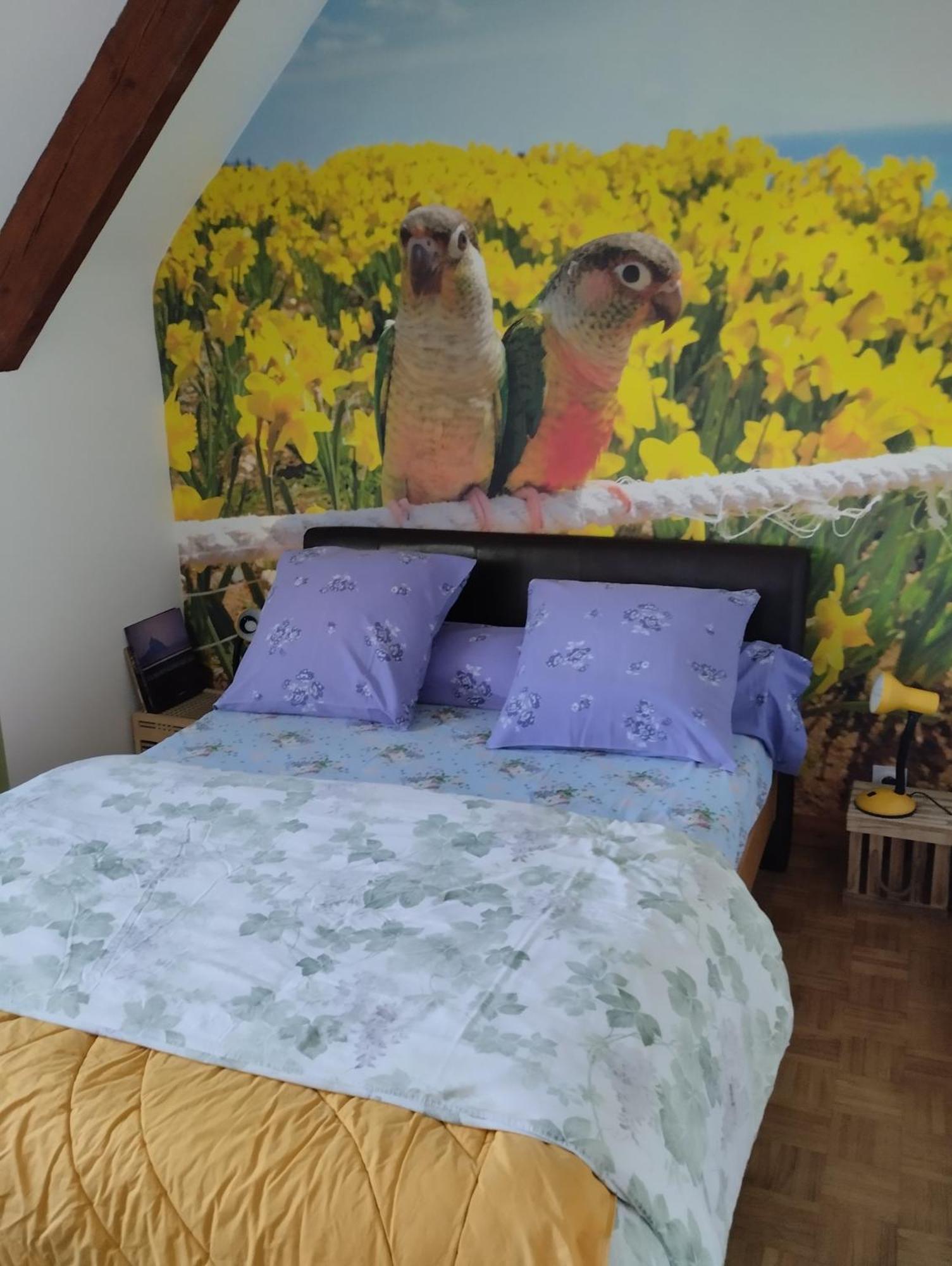 Chambres D'Hotes Du Clos Du Roi 뽕또흑송 외부 사진